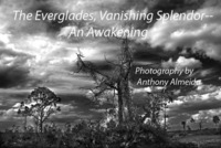 The Everglades, Vanishing Splendor-An Awakening
