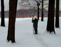 Central Park During Gates Exhibit